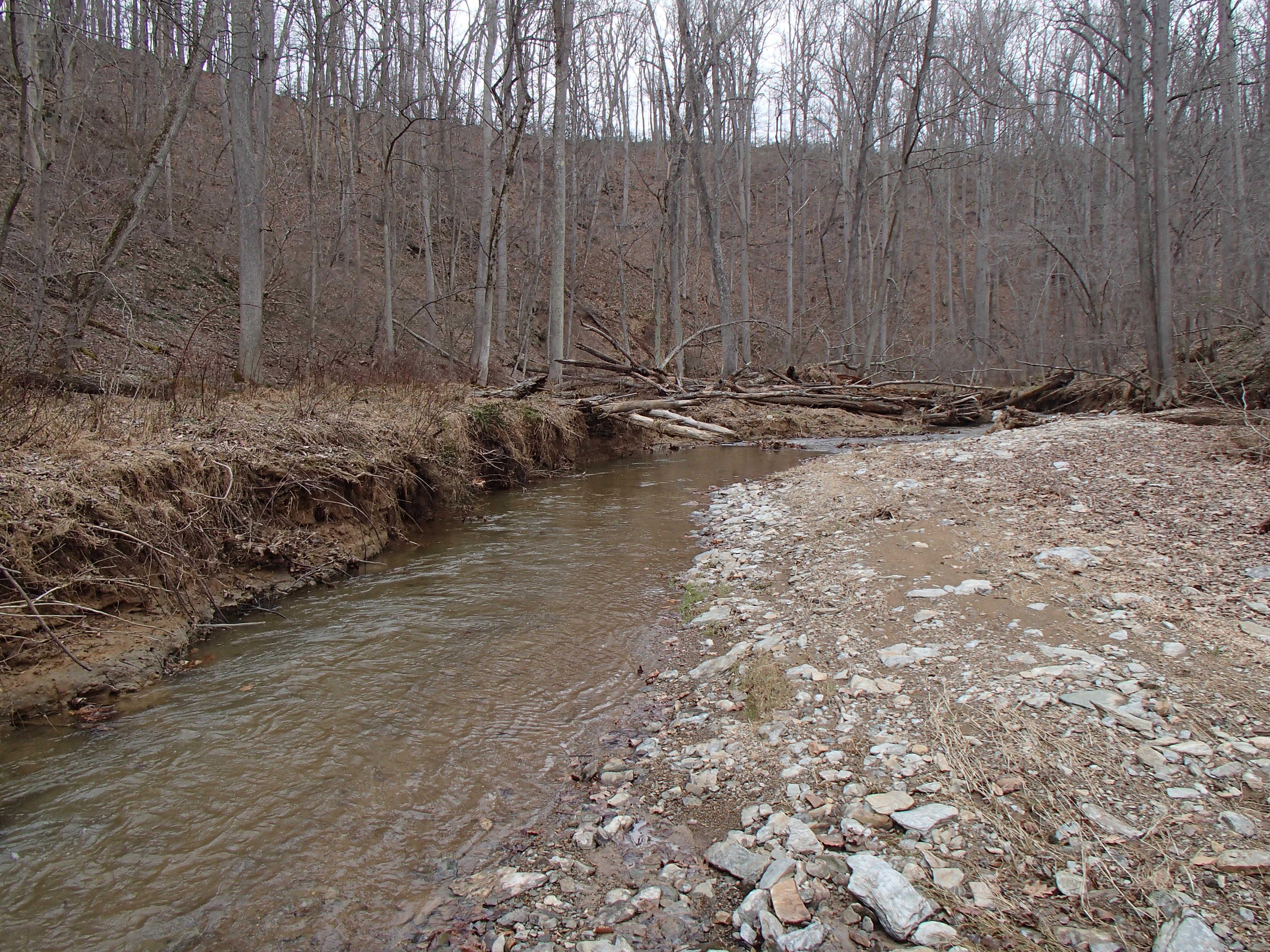 Field photo showing stream conditions at site LOCH-206-R-2016_midpoint looking downstream
